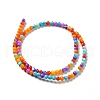 Dyed Natural Freshwater Shell Beads Strands SHEL-G014-05C-04-2