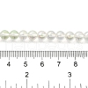 Transparent Electroplate Glass Beads Strands GLAA-T032-T6mm-C10-4