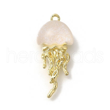 Alloy Pendants FIND-Z067-05G-10-1