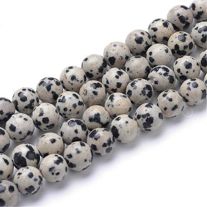 Natural Dalmatian Jasper Bead Strands G-R345-10mm-51-1