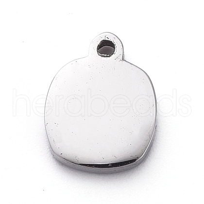 304 Stainless Steel Charms STAS-G215-17-P02-1