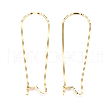 316 Surgical Stainless Steel Hoop Earring Findings STAS-A056-12G-D-1