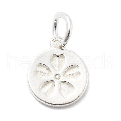 925 Sterling Silver Charms STER-S009-12D-S-1