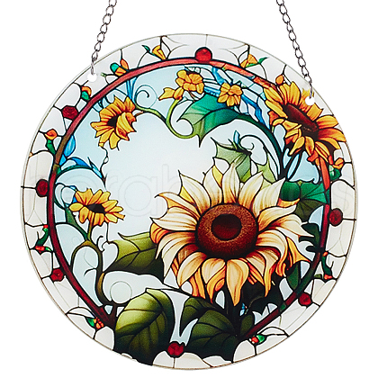 Acrylic Hanging Ornaments Sets FIND-WH20019-19E-1