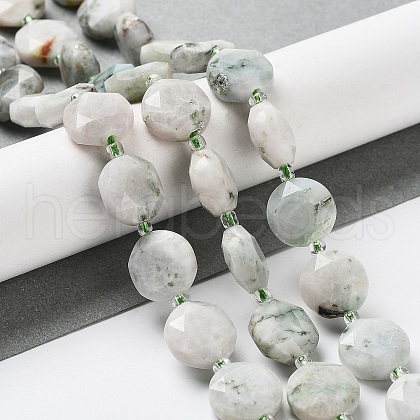 Natural Tree Agate Beads Strands G-NH0004-017-1