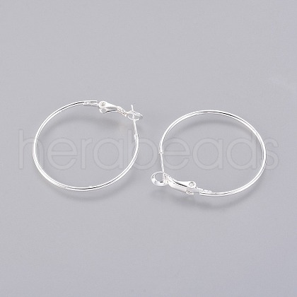 Brass Hoop Earrings EC108-1NFS-1