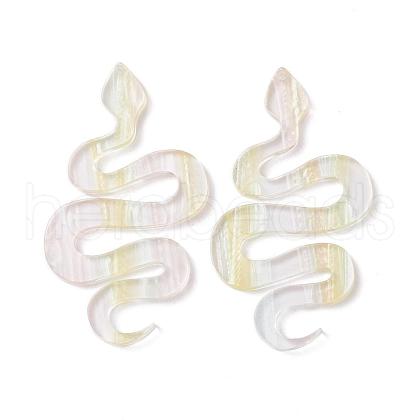 Acrylic Big Pendants KY-I008-07D-1