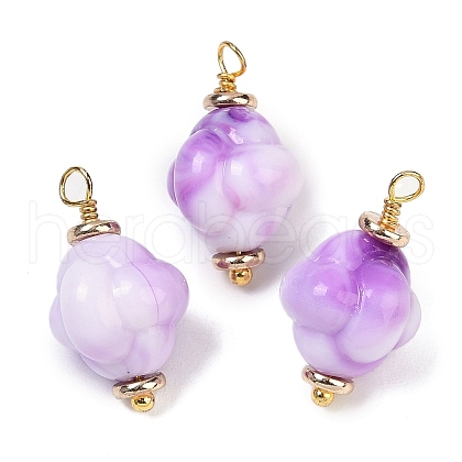 Opaque Acrylic Pendants KK-K296-01G-02-1
