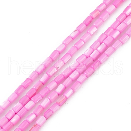 Natural Freshwater Shell Dyed Beads Strands SHEL-M018-12-10-1