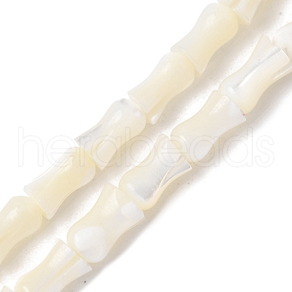 Natural Trochid Shell/Trochus Shell Beads Strands SHEL-XCP0001-11-1