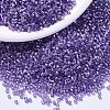 MIYUKI Delica Beads SEED-X0054-DB1347-4