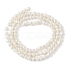 Electroplated Shell Pearl Beads Strands BSHE-M036-02C-2