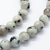 Natural Sesame Jasper/Kiwi Jasper Beads Strands G-I199-29-10mm-3