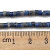 Natural Lapis Lazuli Beads Strands G-C084-D12-02-5