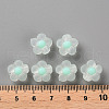 Transparent Acrylic Beads TACR-S152-06C-SS2111-4
