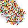 Baking Paint Glass Seed Beads SEED-N007-02C-1