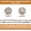 ARRICRAFT Faceted Round Natural Labradorite Bead Strands G-AR0002-72-2