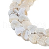 Natural Blue Lace Agate Beads Strands G-NH0001-B02-01-4