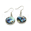 Abalone Shell/Paua ShellEarrings EJEW-N001-12-1