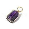 5Pcs Natural Mixed Gemstone Pendants PALLOY-JF03151-4