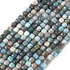Natural Apatite Beads Strands G-RM250101-L2-1