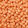 Baking Painted Glass Seed Beads SEED-C004-01F-3
