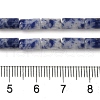 Natural Blue Spot Jasper Beads Strands G-B091-A03-01-5