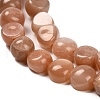 Natural Sunstone Beads Strands G-P568-C19-01-4