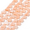 Natural Freshwater Shell Beads Strands SHEL-H002-02-3