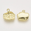 Alloy Charms PALLOY-S121-173-2