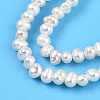 Natural Cultured Freshwater Pearl Beads Strands PEAR-N013-02I-01-4