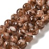 Freshwater Shell Beads Strands BSHE-L039-08B-04-1