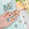 WADORN 20Pcs 4 Styles Natural Abalone Shell/Paua Shell Cabochons SHEL-WR0001-07-3