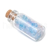 12Pcs Glass Wishing Bottles  Display Decoration PALLOY-JF03693-4