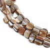 Natural Trochus Shell Beads Strands BSHE-Q050-01B-3