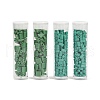  520Pcs 2 Style 2-Hole Glass Seed Beads SEED-NB0001-72B-1