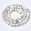 Natural White Moonstone Beads Strands G-N328-51A-01-3