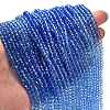 Transparent Painted Glass Beads Strands X1-DGLA-A034-T4mm-A01-2