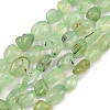 Natural Prehnite Beads Strands G-R445-8x10-25-01-2
