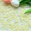 30Pcs Handmade Transparent Lampwork Beads PW-WG3E638-03-1