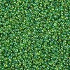 12/0 Grade A Rainbow Lawn Green Transparent Glass Seed Beads for Jewelry Making X-SEED-Q010-F549-2