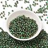 Glass Seed Beads X1-SEED-H002-B-D221-2