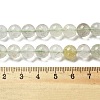 Natural Green Beryl Beads Strands G-F787-01-8mm-5