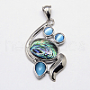 Abalone Shell/Paua Shell Pendants SSHEL-F0001-12-1