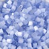 Glass Seed Beads X1-SEED-H002-D-A814-3