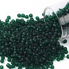 TOHO Round Seed Beads SEED-XTR08-0939F-1
