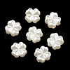 ABS Imitation Pearl Beads OACR-K001-14-2