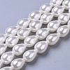 Polished Shell Pearl Beads Strands BSHE-L042-A05-1