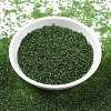 MIYUKI Round Rocailles Beads SEED-X0056-RR0158-2