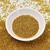 MIYUKI Delica Beads SEED-J020-DB2372-2